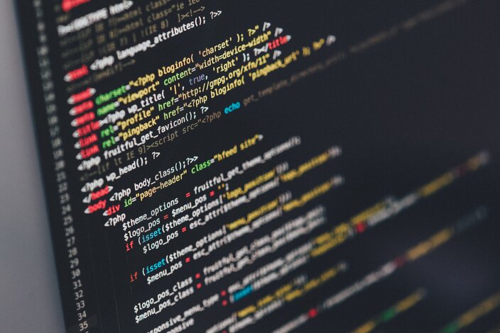 WordPress Bug Fixing